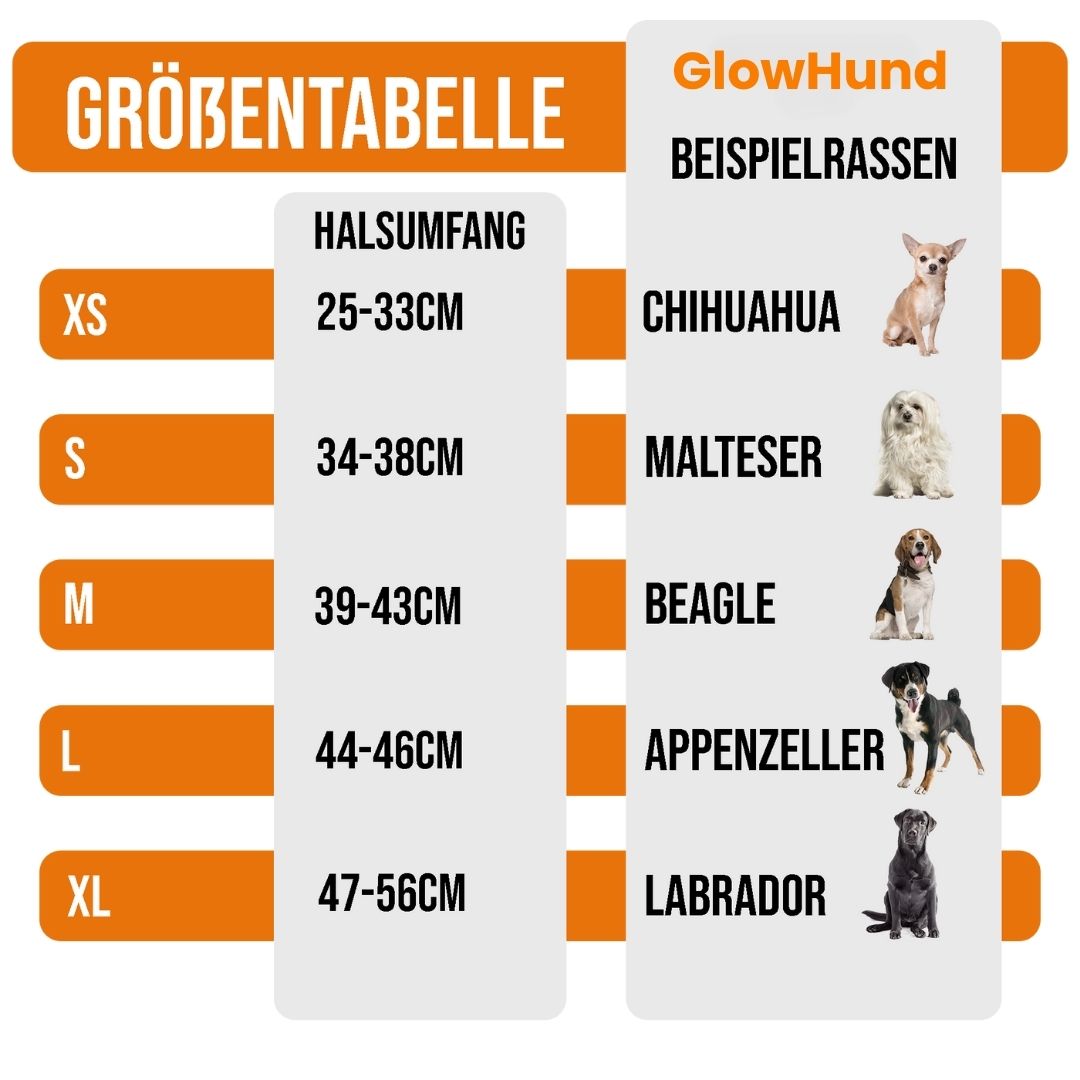 LED Hundehalsband Leuchthalsband Hunde Sicherheit Outdoor