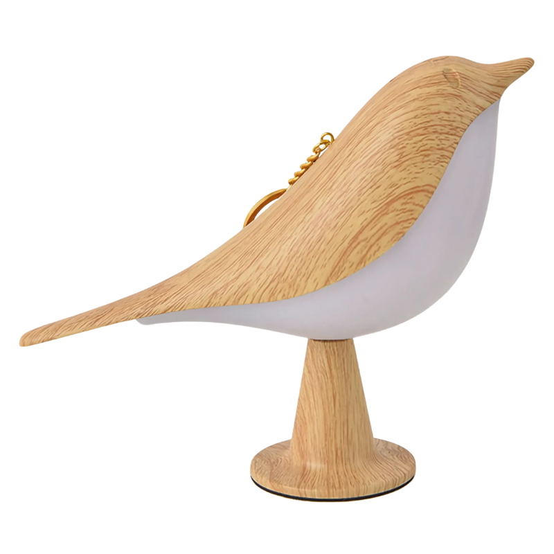 Bela LED Lampe | Touch-Steuerung, Aromadiffusor, Wiederaufladbar 4