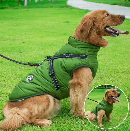 Hundemantel wasserdicht & gefüttert I für kleine & große Hunde