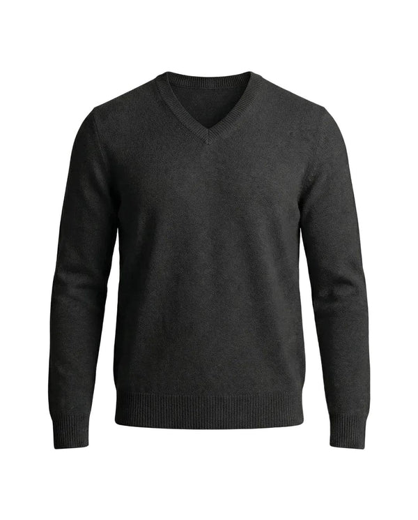 Pull Homme Col V Regular Fit Décontracté
