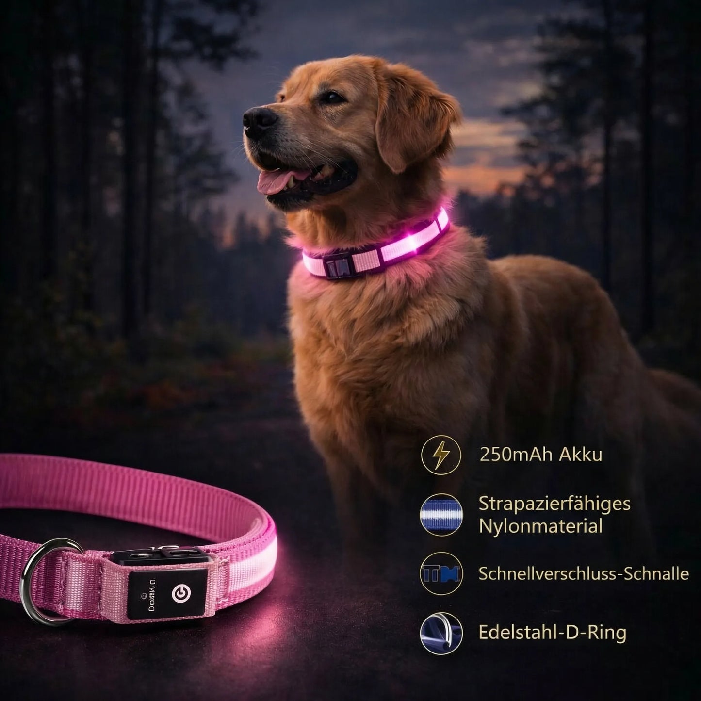 LED Hundehalsband Leuchthalsband Hunde Sicherheit Outdoor